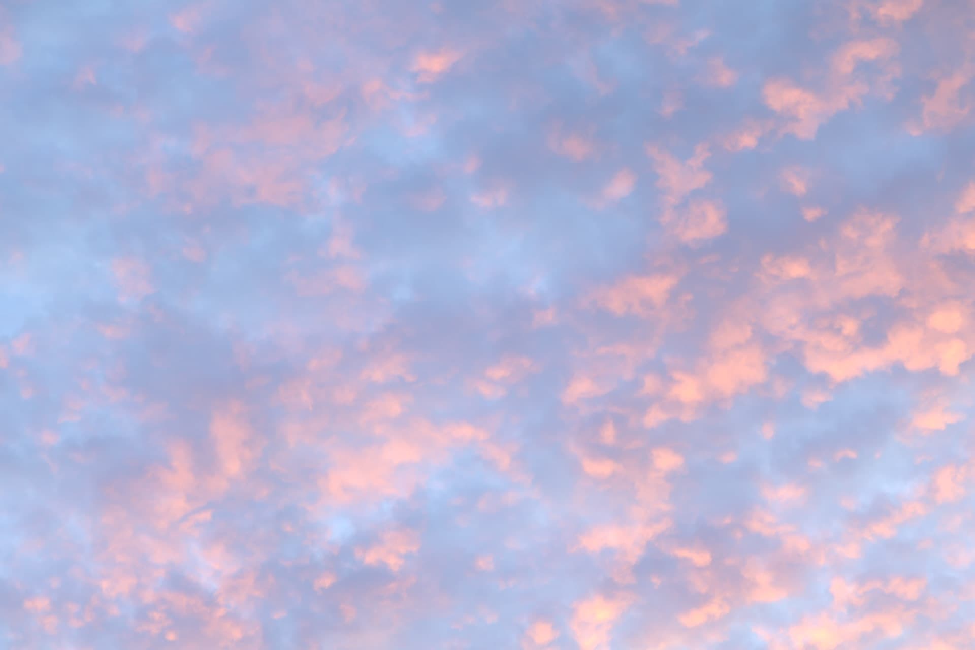 Pink clouds over the valley at sunset